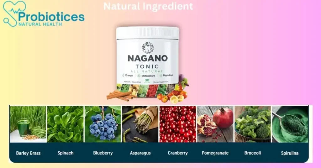 nagano lean body tonic ingredient probiotices.com