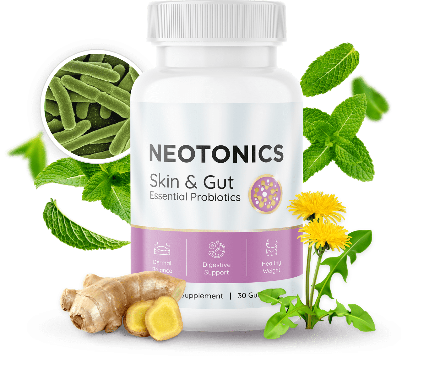 Neotonics Supplement Probiotices