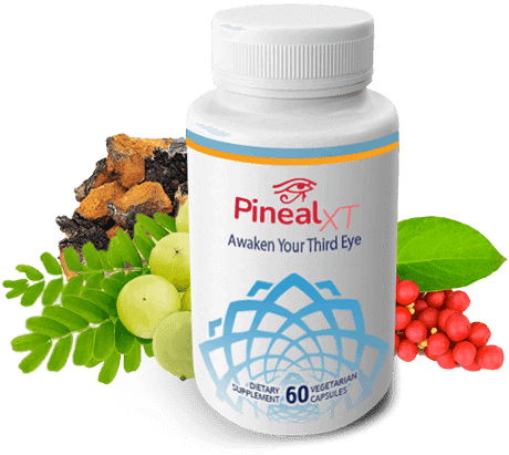 Pineal XT Supplement Probiotices